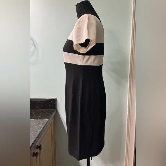 Jones New York Size 10P Black and White Dress - Picture 2 of 4